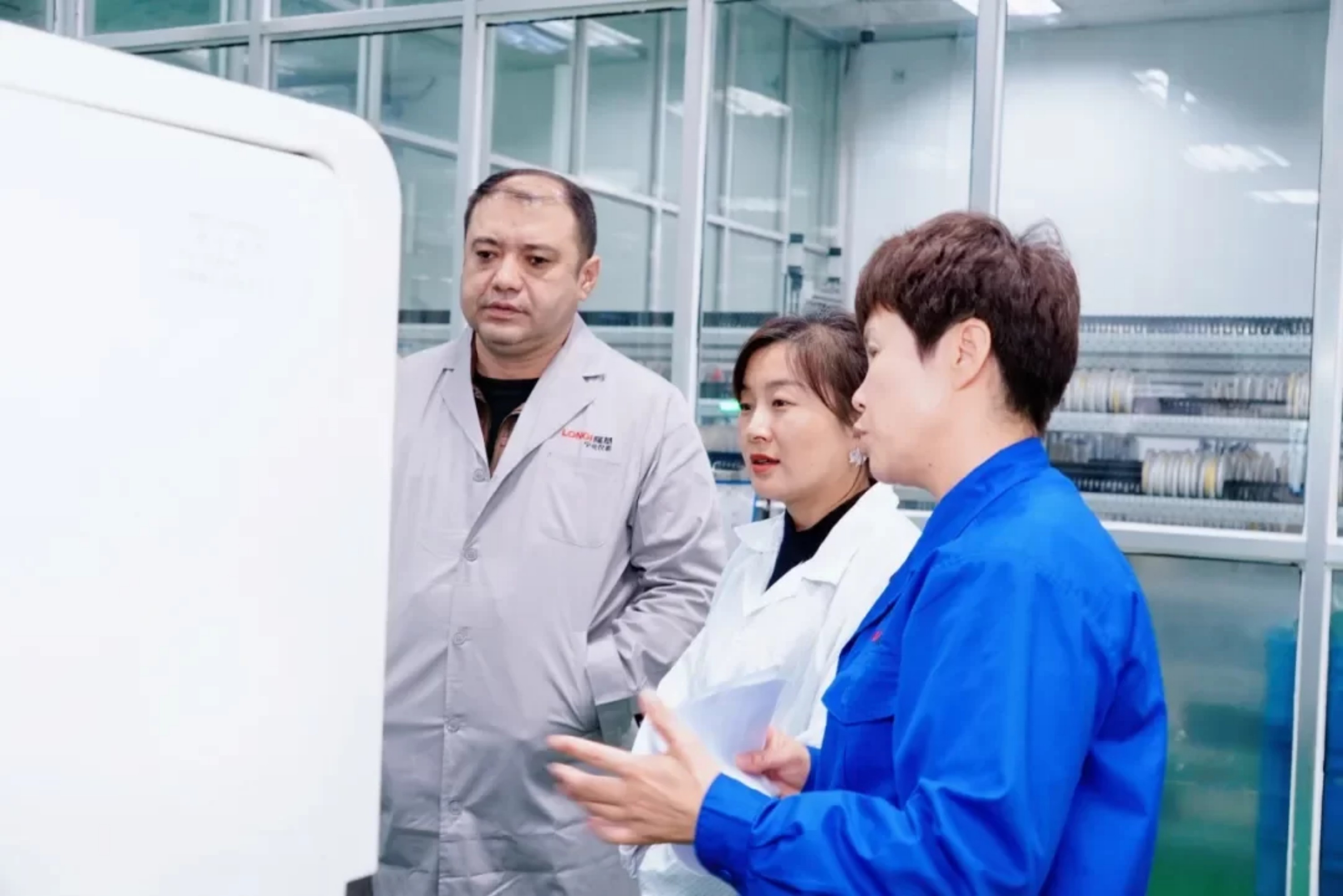 1731977988280523.jpg 1731977988280523.jpg